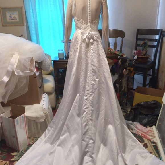 Wedding Dress - Picture 3 of 8